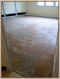 wp89ab1337.jpg